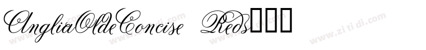 AngliaOldeConcise Re字体转换